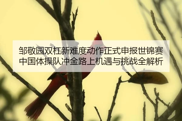 邹敬园双杠新难度动作正式申报世锦赛 中国体操队冲金路上机遇与挑战全解析
